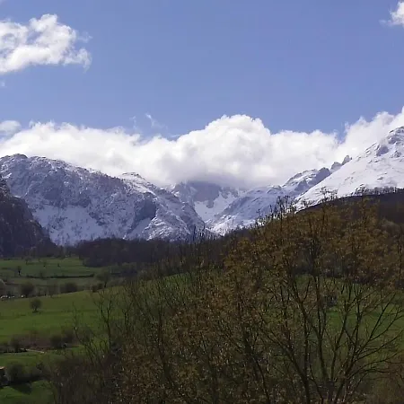 La Yaya